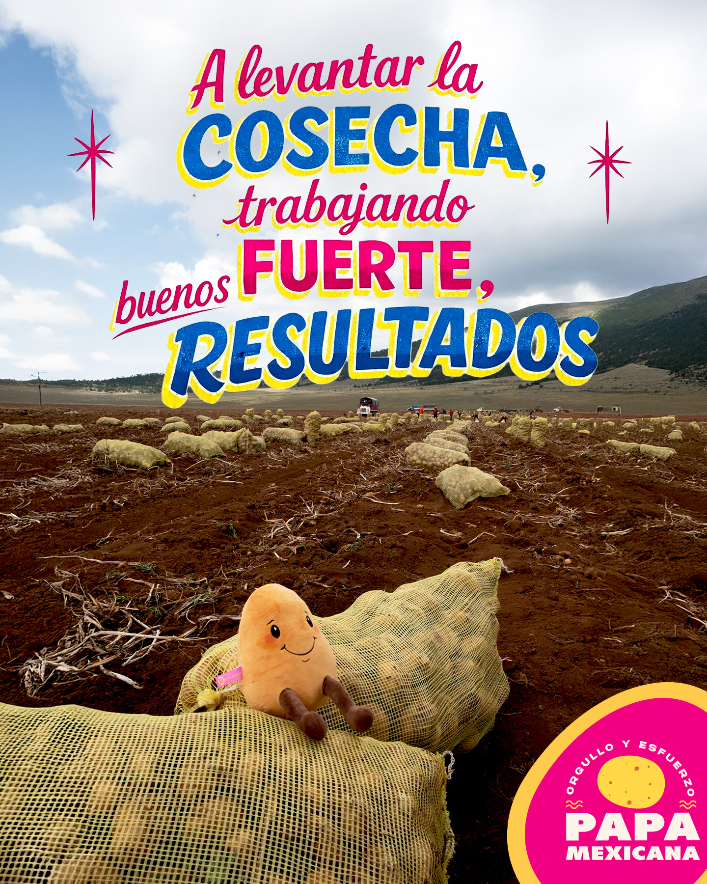 Foto Papa Mexicana 26